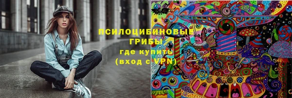 дживик Майский
