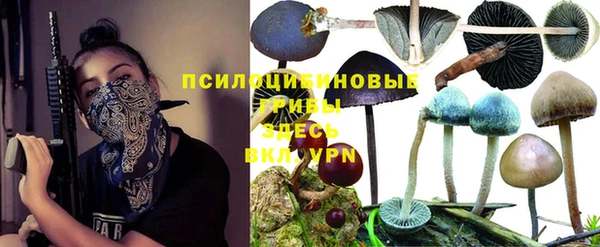 дживик Майский