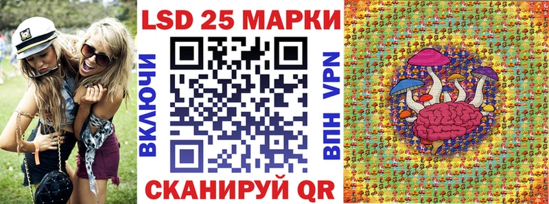 дарнет шоп  Циолковский  Марки N-bome 1,8мг 