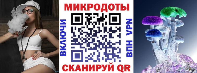 где можно купить   Циолковский  Псилоцибиновые грибы Magic Shrooms 